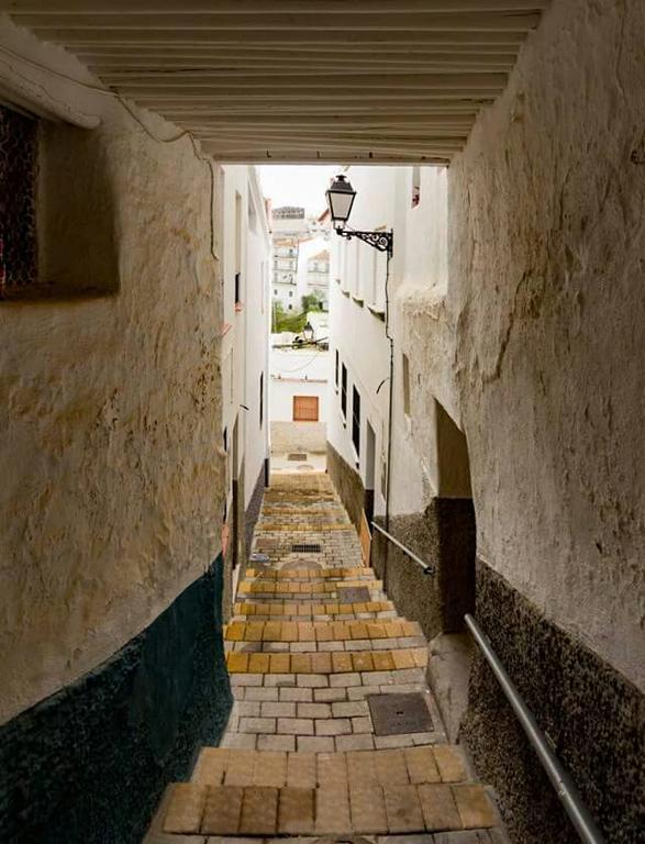 Hotel Las Flores 톨록스 외부 사진
